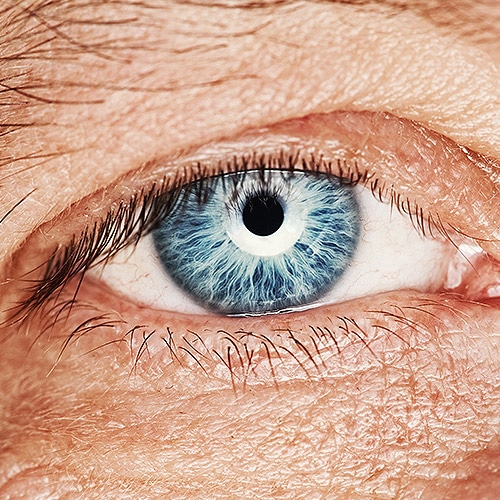 Human Eye image