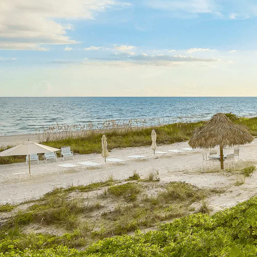 Photo of a beach with tanning chairs