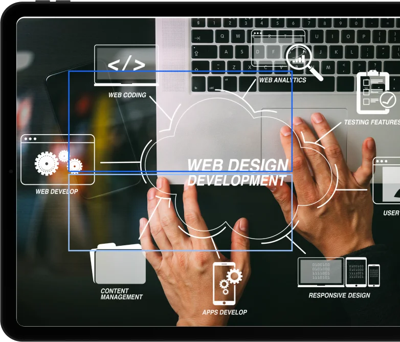 Choose Sitespring for Professional Web Design Sarasota Services